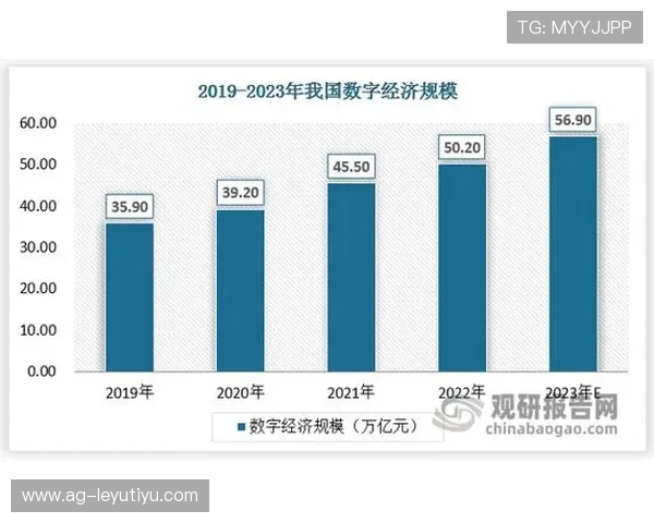 乐鱼国际站引领行业数字化转型，推动跨境电商再上新台阶