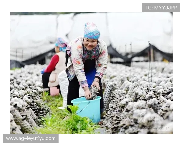 乐鱼游戏下载App官方最新版，轻松畅玩多款热门网络游戏的最佳选择