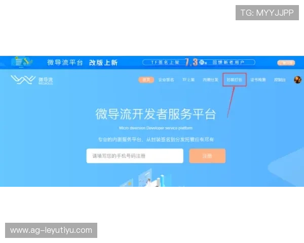 乐鱼网站注册流程详解新手快速上手体验高效便捷操作方式