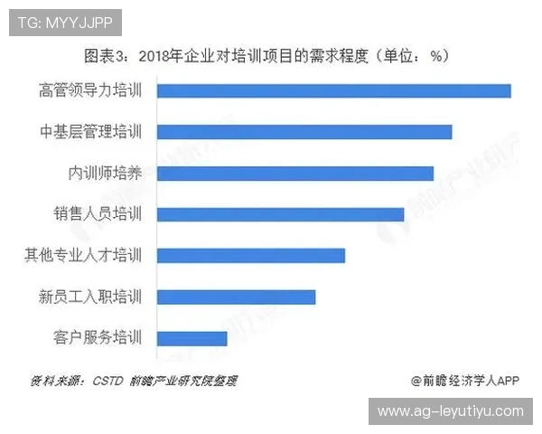 乐鱼集团最新动态：2024年公司战略调整与未来发展方向详解