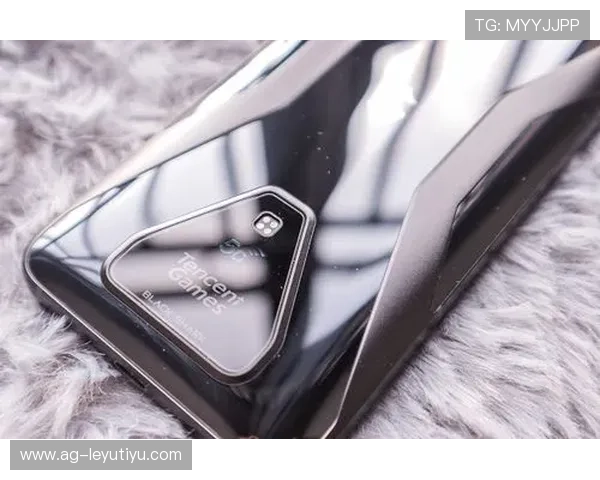 乐鱼？旗舰厅客户端功能全面介绍，提升游戏操作体验与娱乐享受的最佳选择